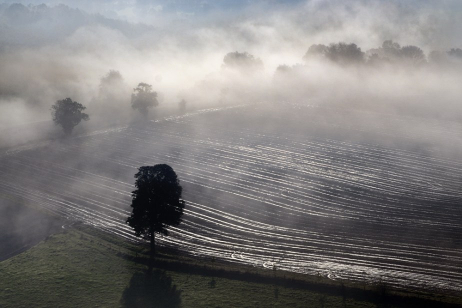 Lumières d&rsquo;automne