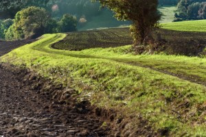 ThurySalen_7_11-13-2012_117_DxO1