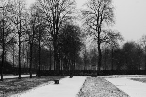 Parcdornanoneige_01-18-2013_27_01