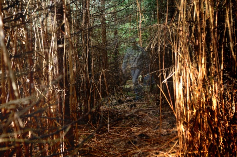 CERISY_10-16-2012_762-763_01