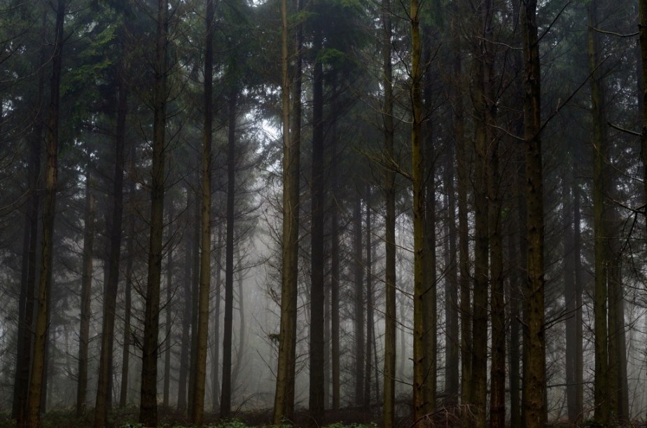 Hamars_1_01-07-2013_53_01