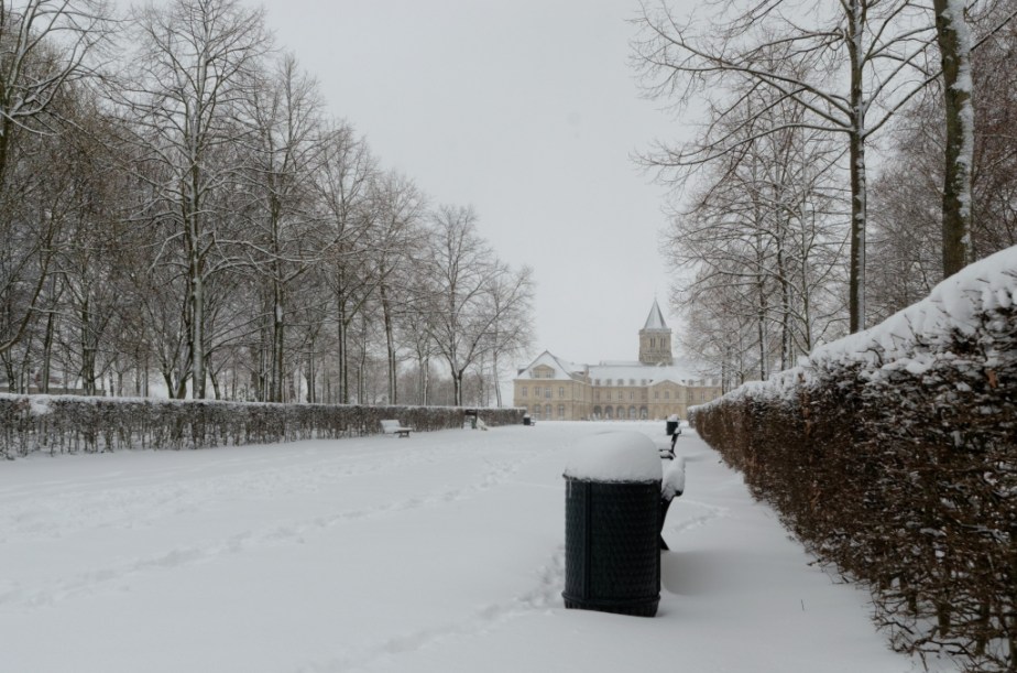 pardornanoneige3_008