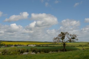 Thury_Salen_5_05-09-13_5