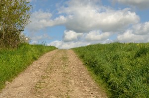 Thury_Salen_5_05-09-13_78