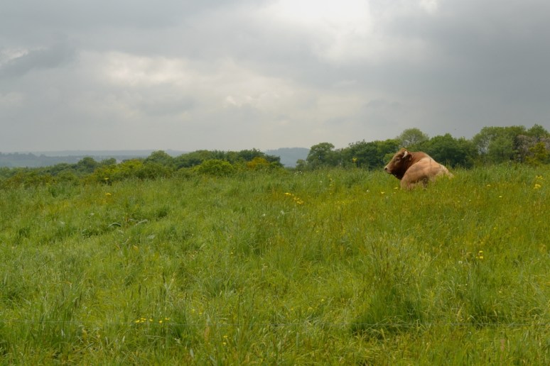 Thury_Salen_6_05-22-13_30