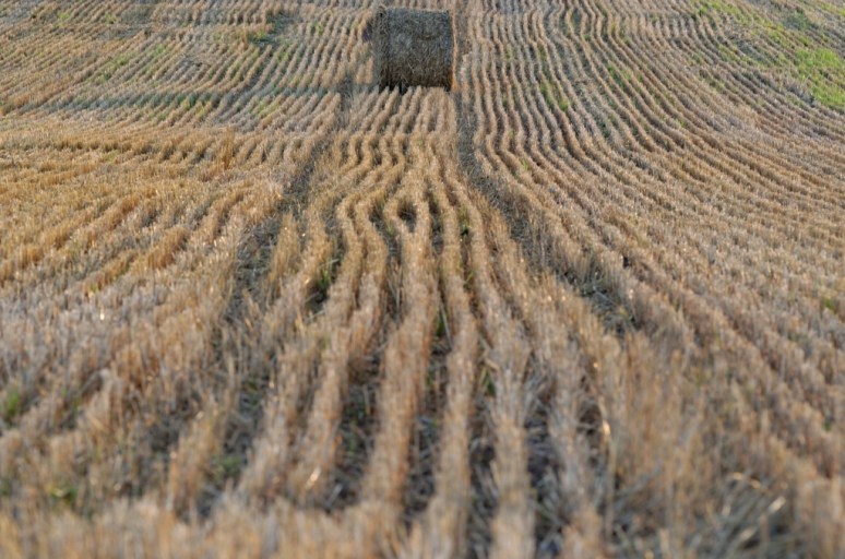 ThurySalen_14_141_DxO