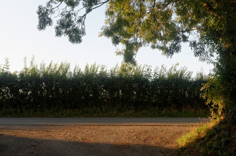 ThurySalen_15_262_DxO