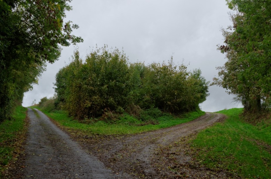 ThurySalen_19_106_DxO