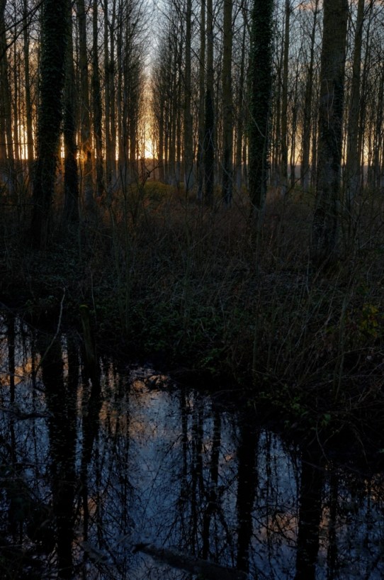 Marais_Dives_1_71_DxO