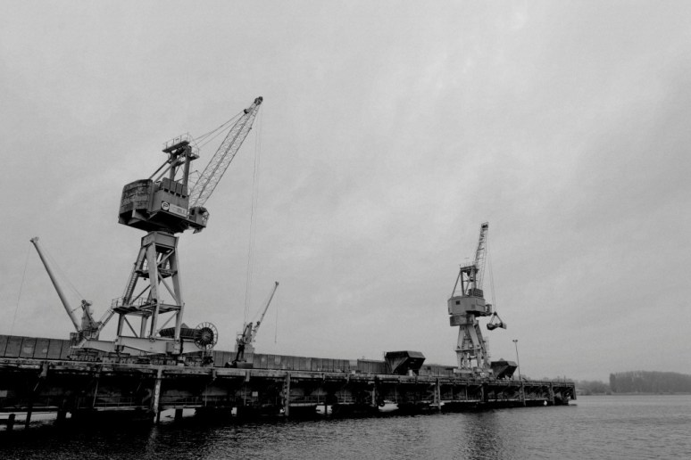 Grues_Canal_CCI1_004_DxO