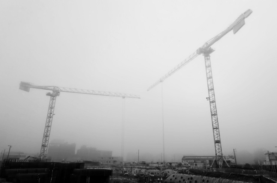 Grues_brume_1_024_DxO