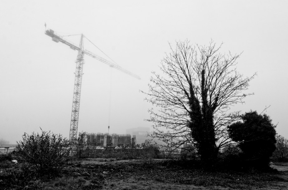 Grues_brume_1_027_DxO