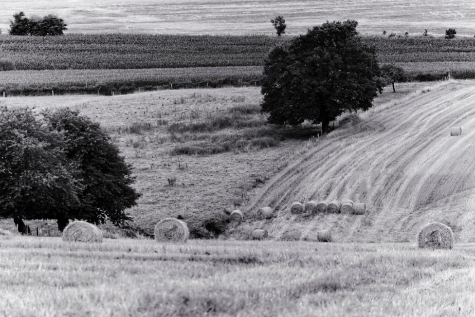 ThurySalen_12_178_n&b