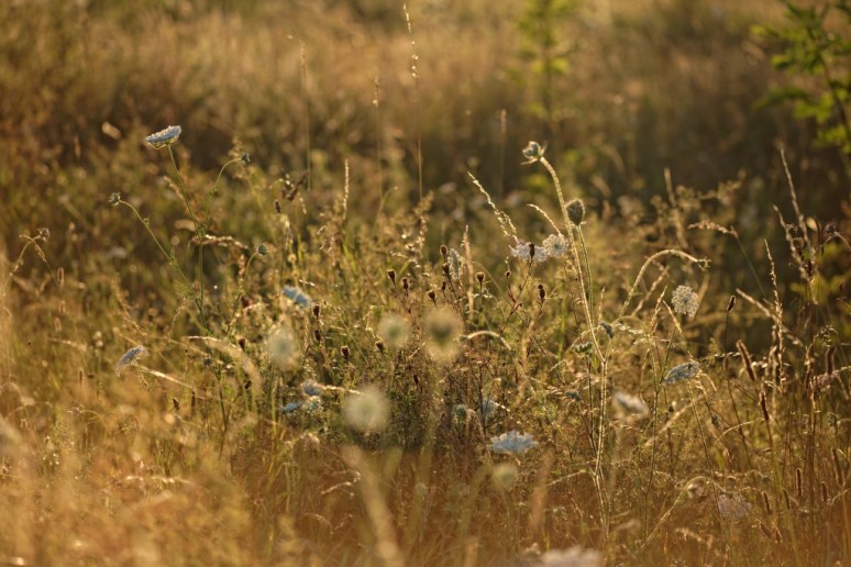 ThurySalen_209_DxO-1cnx