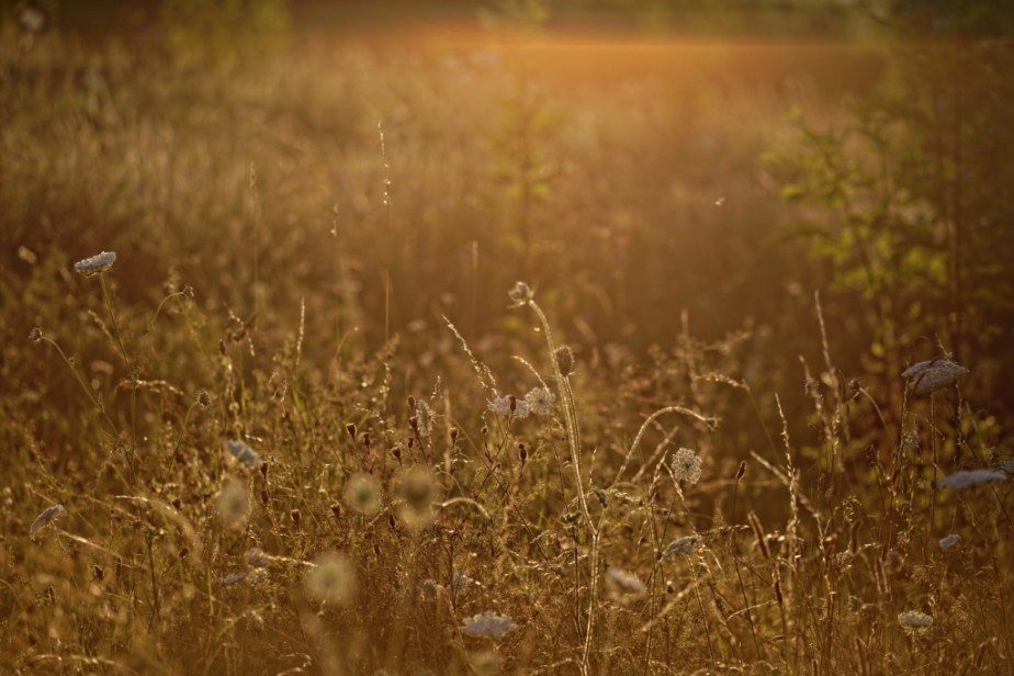 ThurySalen_212_DxOcnx