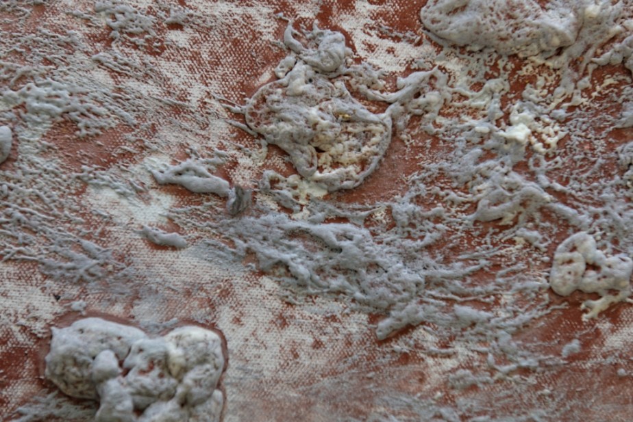 DansAtelierBL_2_26_DxO