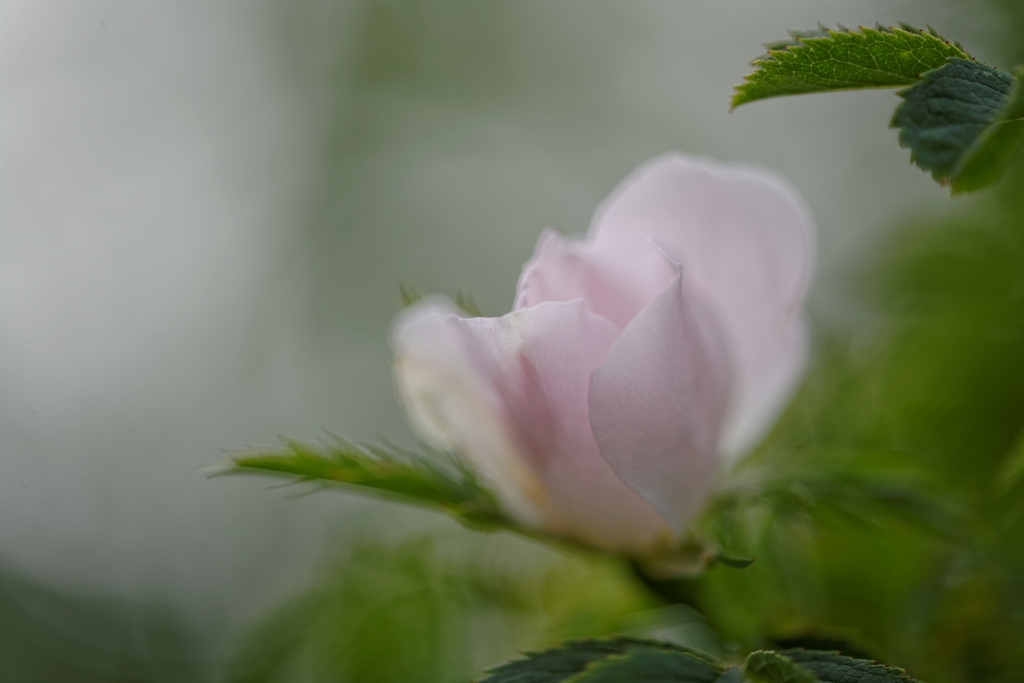 ThurySalen_9_104_DxO-1