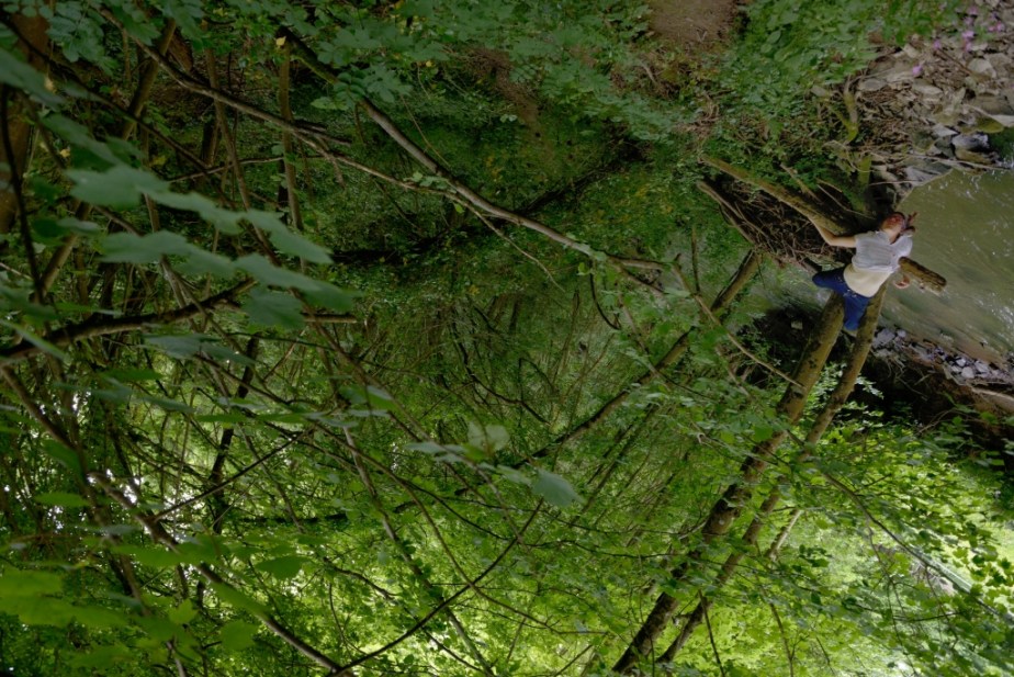 Icizéla_Baron_1_62-1