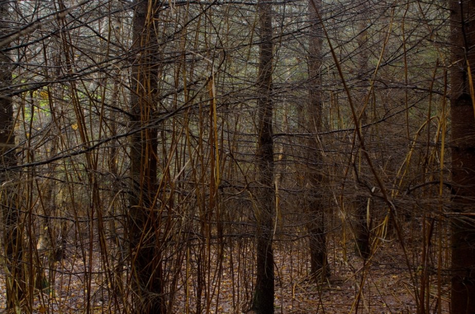 1-CERISY_10-09-2012_622-4