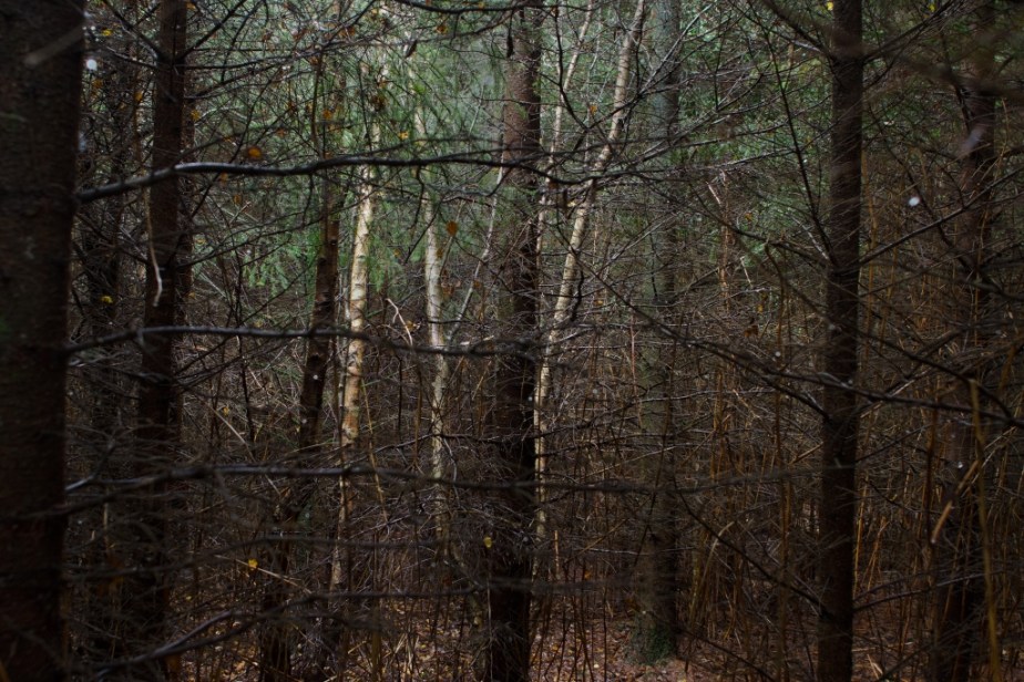 6-CERISY_10-09-2012_625-3