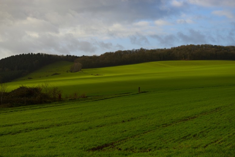 ThurySalen_18_10essai capture one