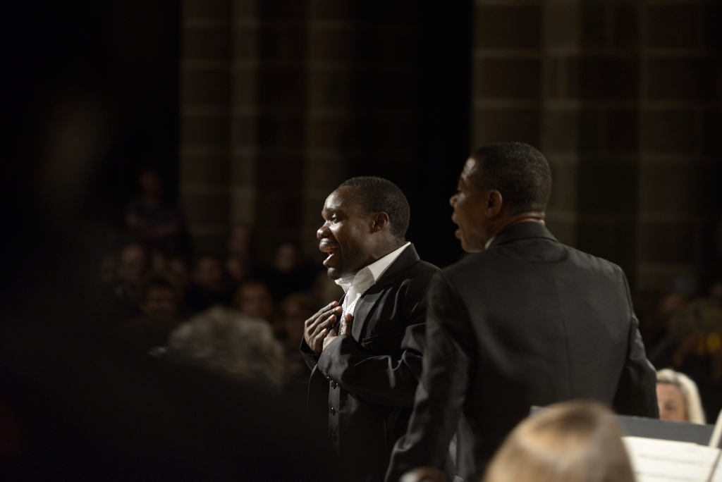 ORN_Mt_St_Michel_209_01