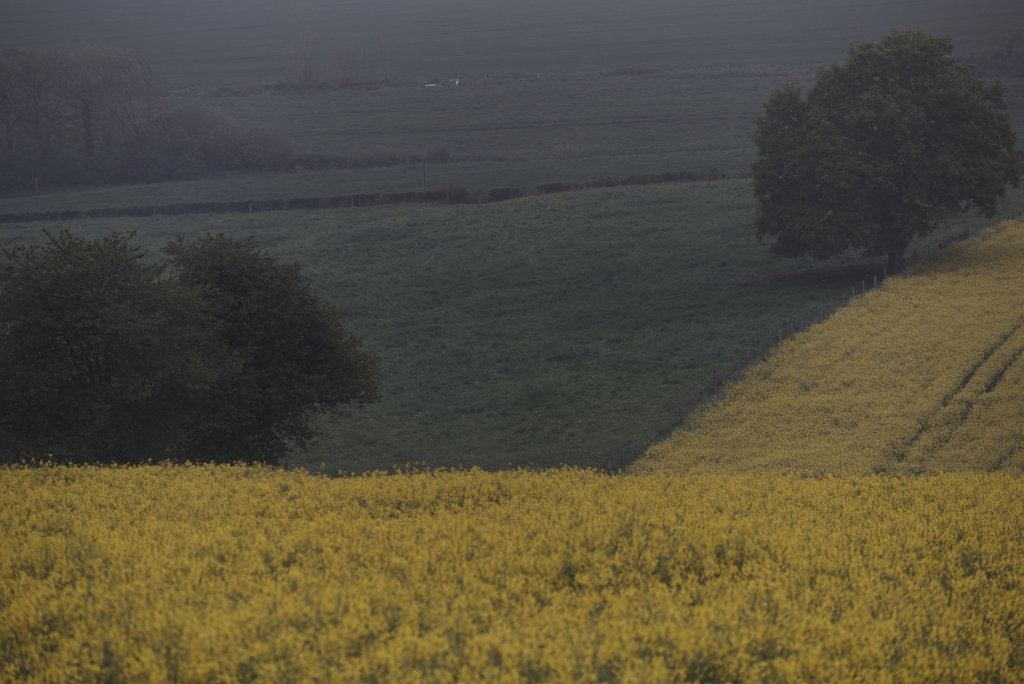 ThurySalen_6_120Capture_1