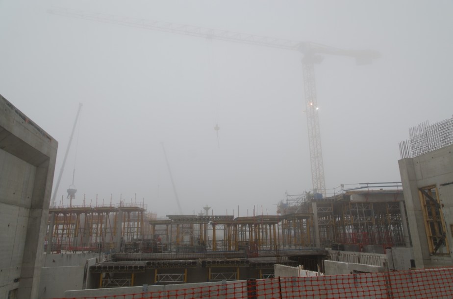 Grues_brume_1_36-3