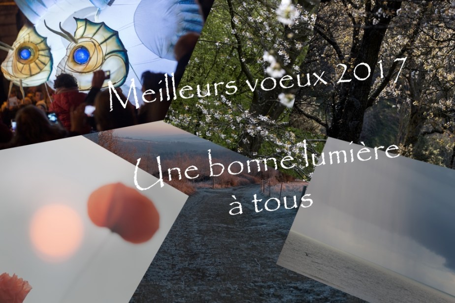 voeux-2017