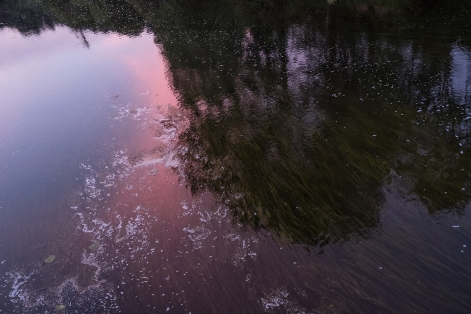 T6hurySalen9_22_2017