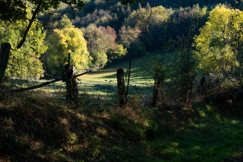 Suisse Normande : Clichés&nbsp;d&rsquo;automne