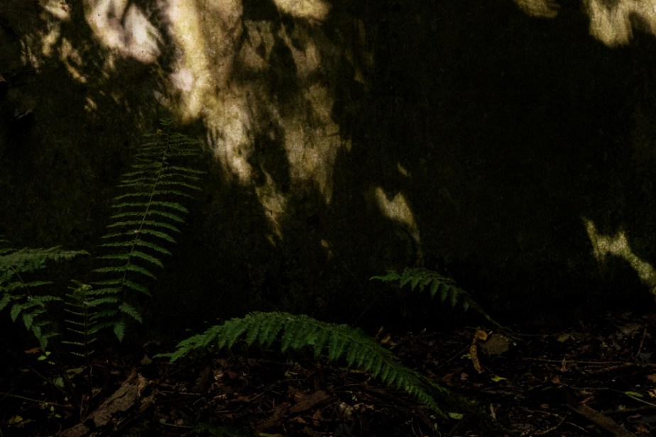 La Bataille (Nature vs&nbsp;Usine)