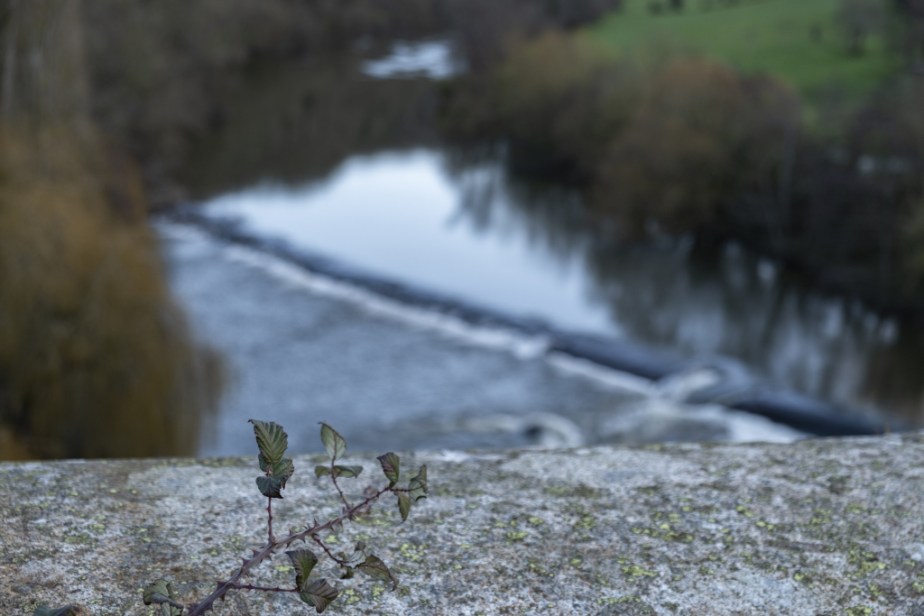 Carte postale – Suisse Normande un jour&nbsp;d&rsquo;hiver