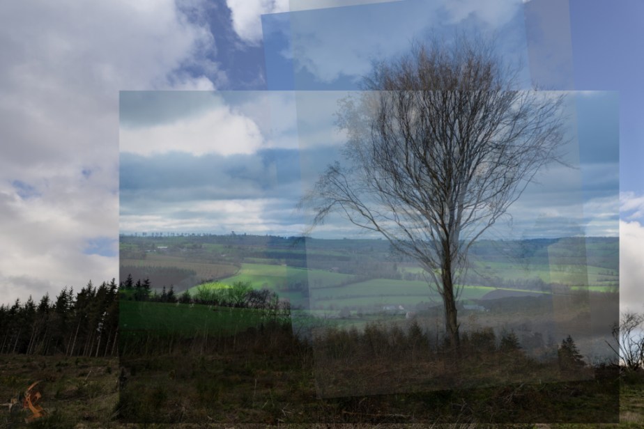 En Forêt (et ce qu&rsquo;il en&nbsp;reste)