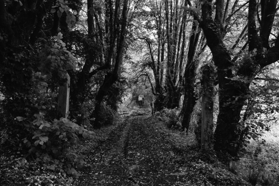 La Bataille [3] (Nature vs Usine) La cathédrale&nbsp;engloutie