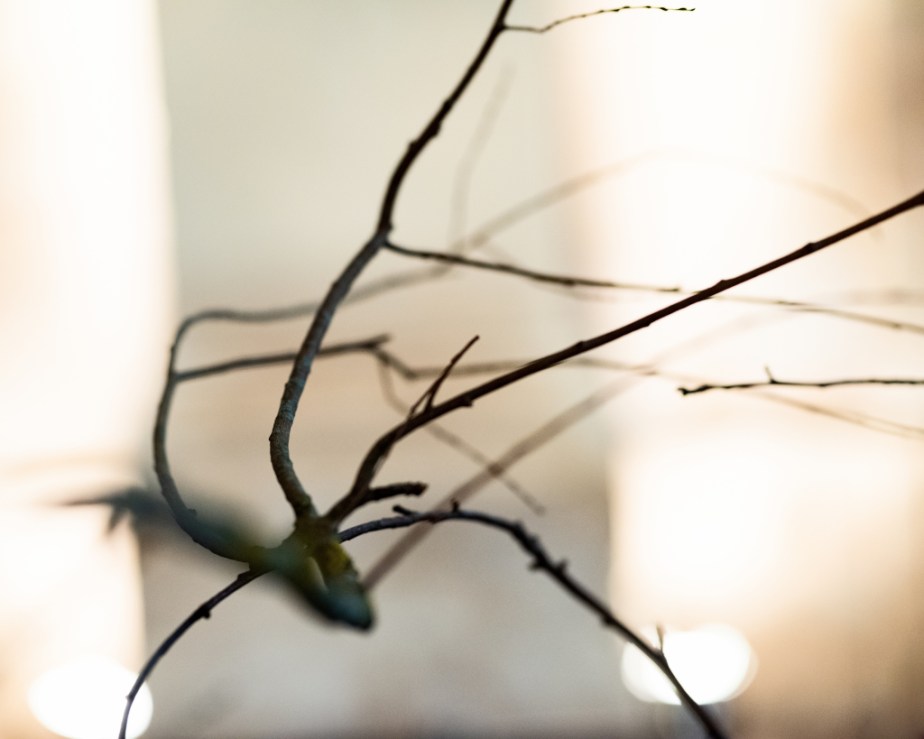 Danse Création :&nbsp;ECHO