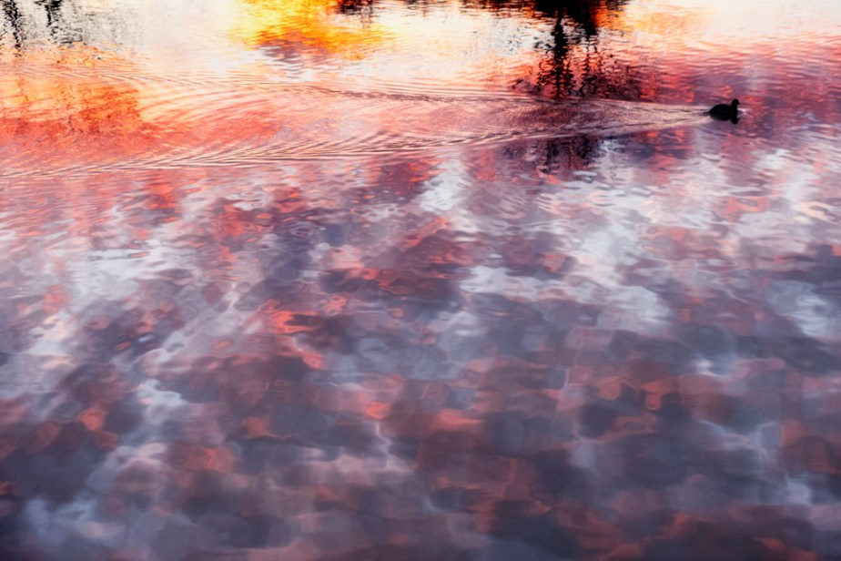 Lever de soleil – dans un&nbsp;rayon