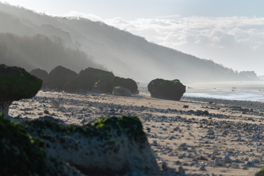 Les &laquo;&nbsp;Vaches Noires&nbsp;&raquo;