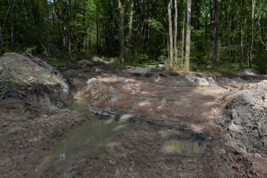 En Forêt – grand&nbsp;travaux