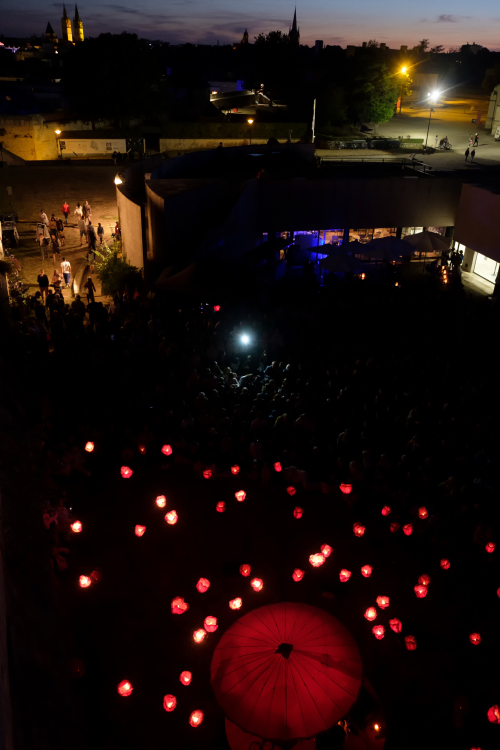 Poésie des coquelicots