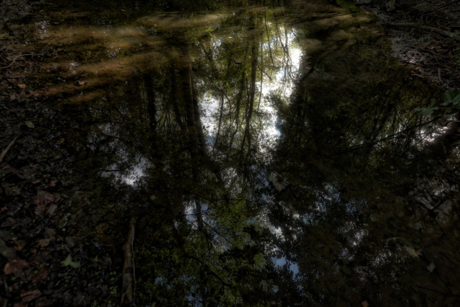 La Bataille &laquo;&nbsp;Encore&nbsp;&raquo;