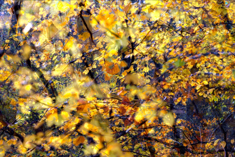 Lumière d&rsquo;automne