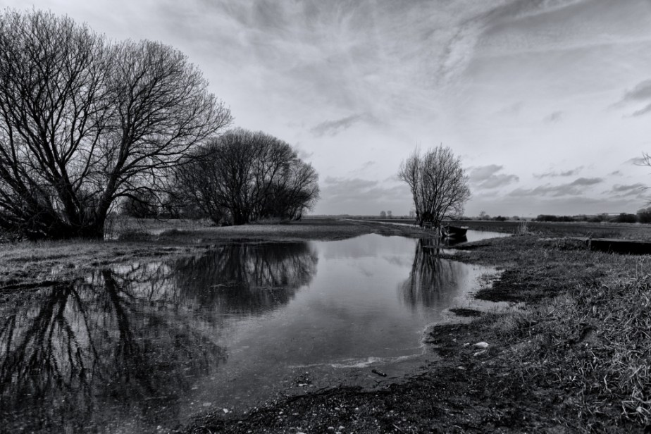 Dans les marais&nbsp;(suite)