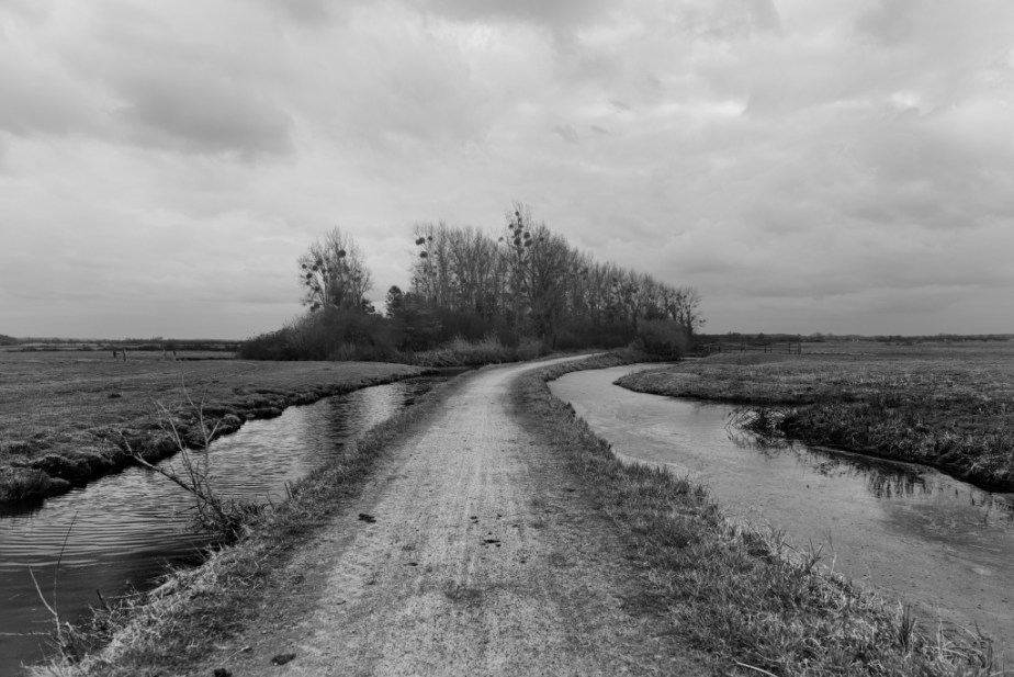 Les Marais de la&nbsp;Dives